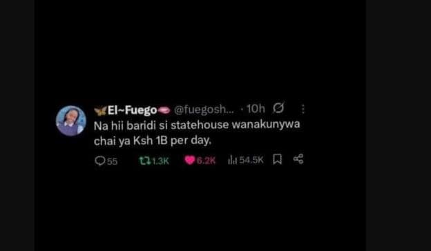 Elfuego fuegosh . ioh na hii baridi si statehouse wanakunywa chai ya ksh 1b per