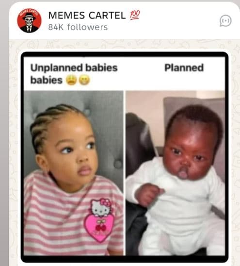 Memes cartel 84k followers unplanned babies babies planned