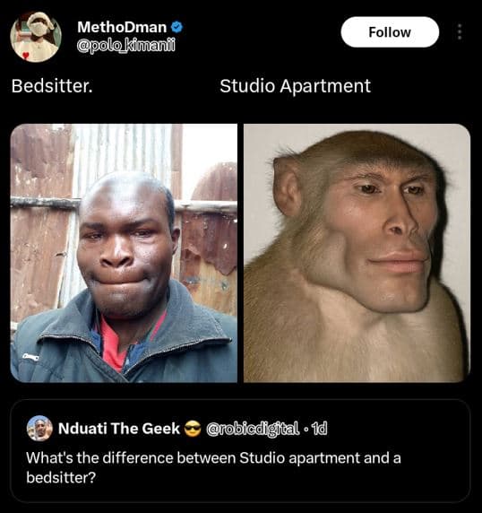 Methodman ppolokimani follow bedsitter. studio apartment nduati the geek obicdig