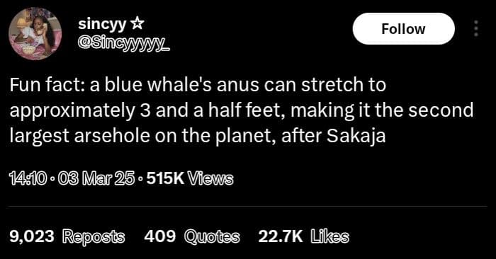 Sincyy sincy mmy follow fun fact a blue whale's anus can stretch to approximatel