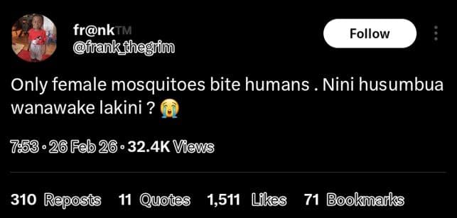 Frnktm frankfhegrim follow only female mosquitoes bite humans nini husumbua wana
