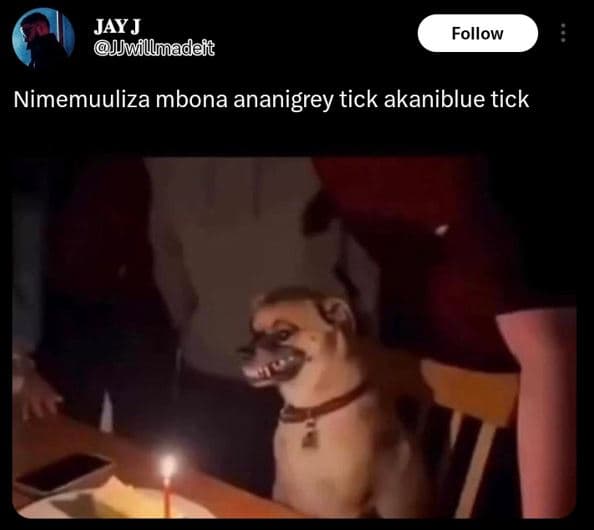 Jay j jwllmadeit follow nimemuuliza mbona ananigrey tick akaniblue tick