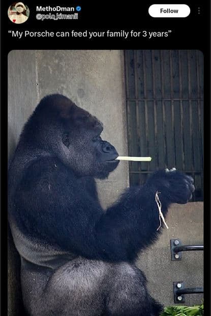 Methodman polokiani follow 'my porsche can feed your family for 3 years