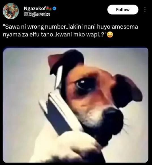 Ngazekof mghazake follow sawa ni wrong number_lakini nani huyo amesema nyama za
