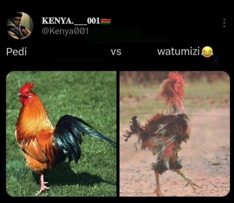 Kenya. 001 kenya001 pedi vs watumizi