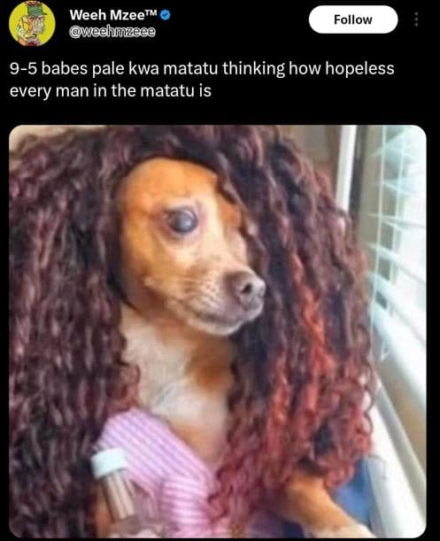 Weeh mzeetm wechmzece follow 95 babes pale kwa matatu thinking how hopeless ever