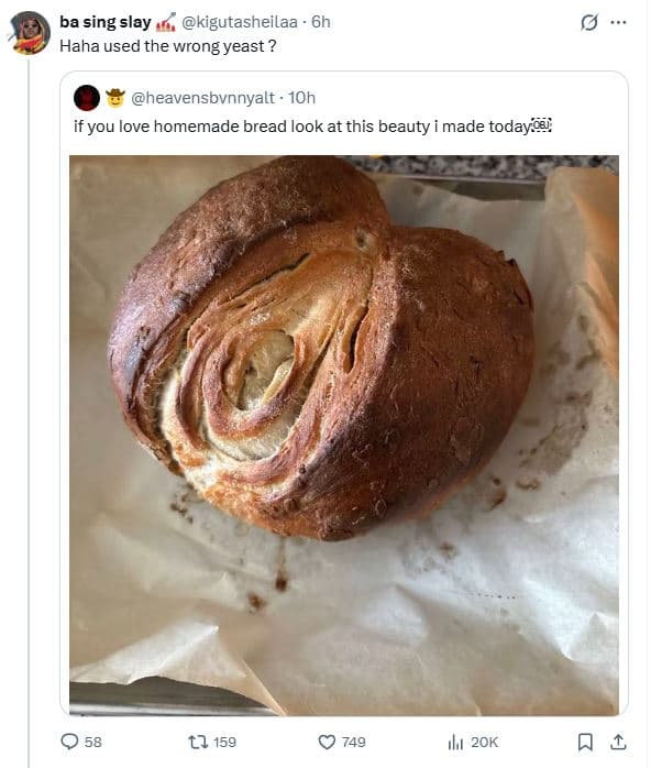 Ba sing slay kigutasheilaa haha used the wrong yeast ? heavensbvnnyalt . 10h if