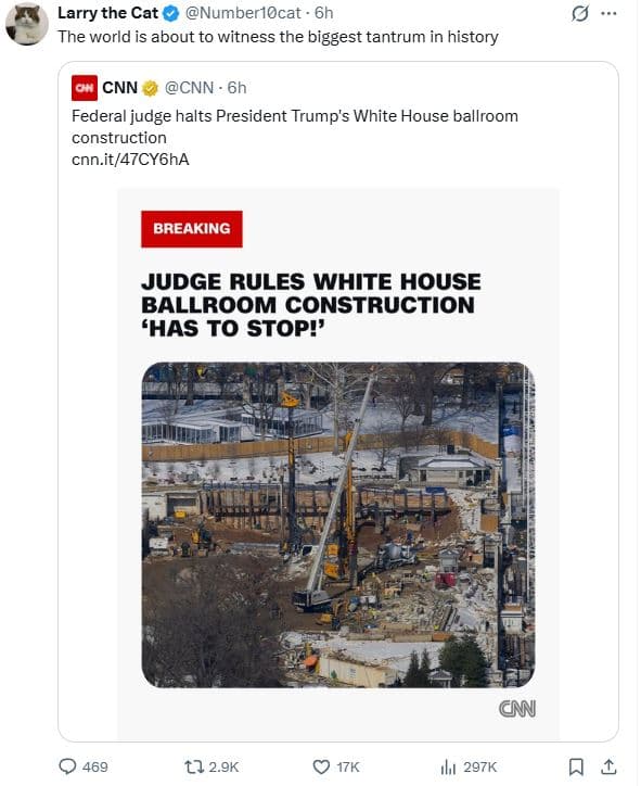 Larry the cat numberlocat the world is about to witness the biggest tantrum in h