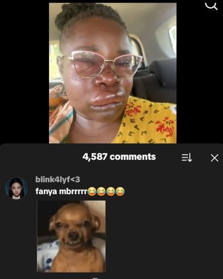 4,587 comments l x blinkalyf3 fanya mbrrrrr 00