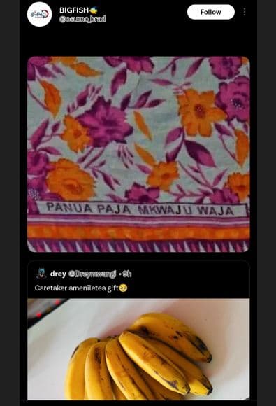 Bigfish goanabad follow panudpaa mmotd drey ocraynurg caretaker ameniletea gift