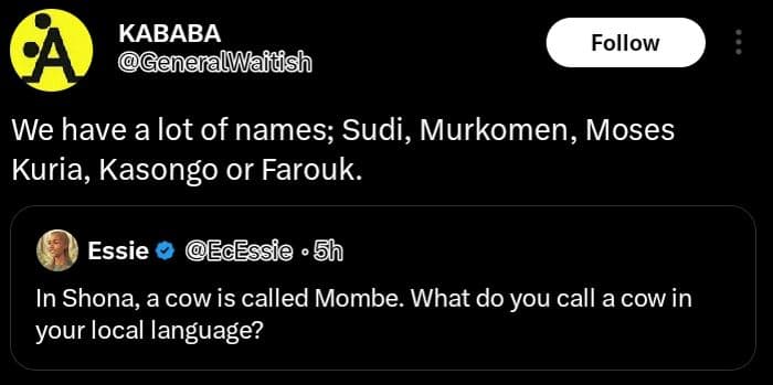 Kababa generalwaidsh follow we have alot of names sudi, murkomen, moses kuria, k