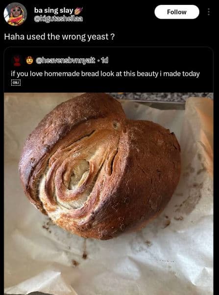 Ba sing slay kigulasheila follow haha used the wrong yeast ? heavansbunnak jd if