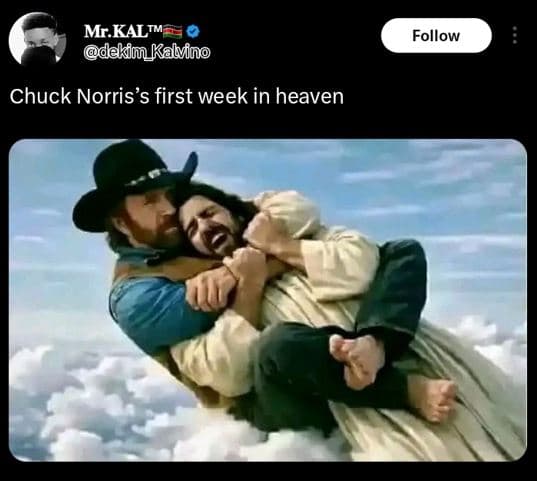 Mr_kaltm dekim kalvino follow chuck norris's first week in heaven