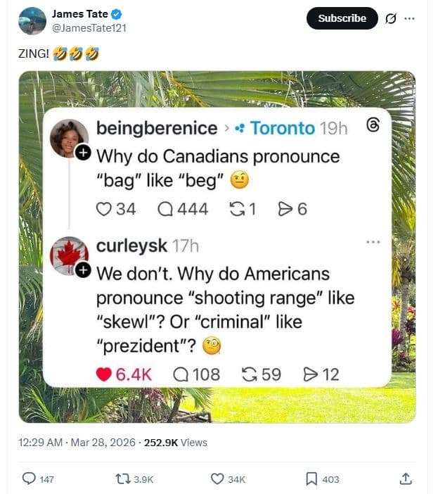 James tate jamestatel21 subscribe zing! 490 beingberenice toronto 19h why do can