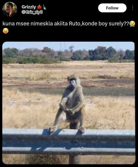 Grizzly griz 7lyg follow kuna msee nimeskia akiita ruto, konde boy 'surely??