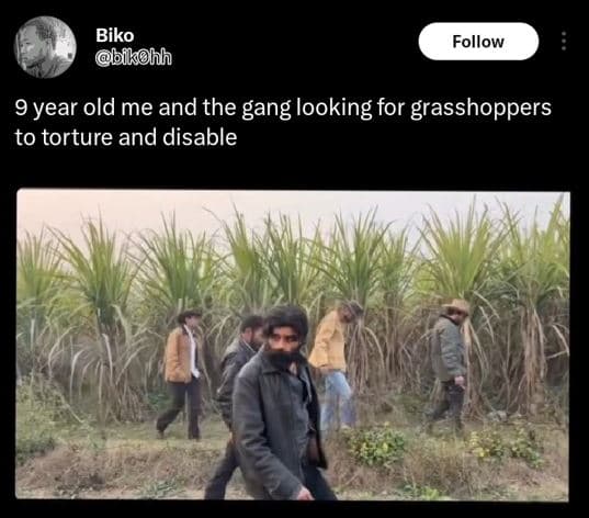 Biko bikohh follow 9 year old me and the gang looking for grasshoppers to tortur